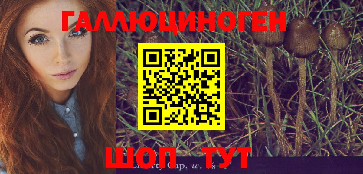 Чайковский  даркнет сайт  Вход с VPN  Псилоцибиновые грибы Magic Shrooms 