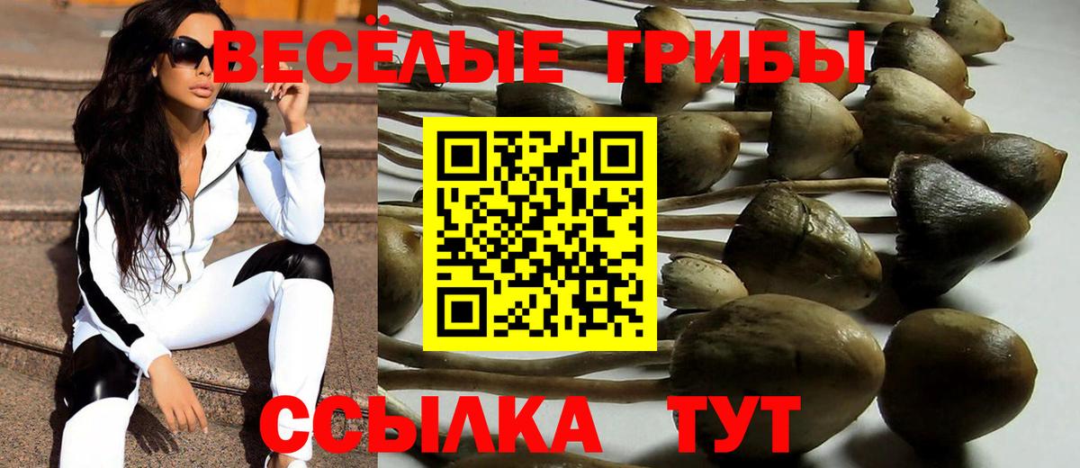 Галлюциногенные грибы MAGIC MUSHROOMS Чайковский